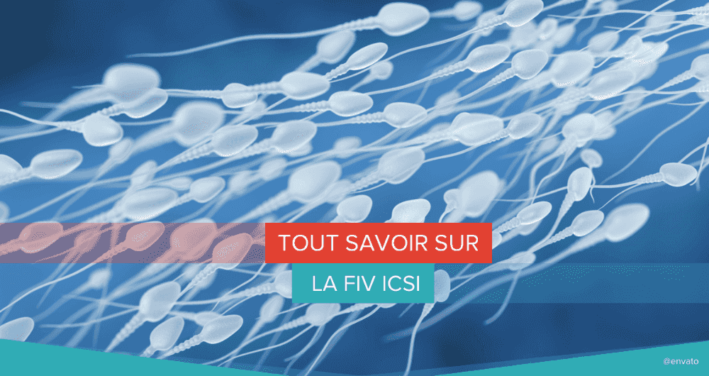 Tout savoir sur la FIV ICSI