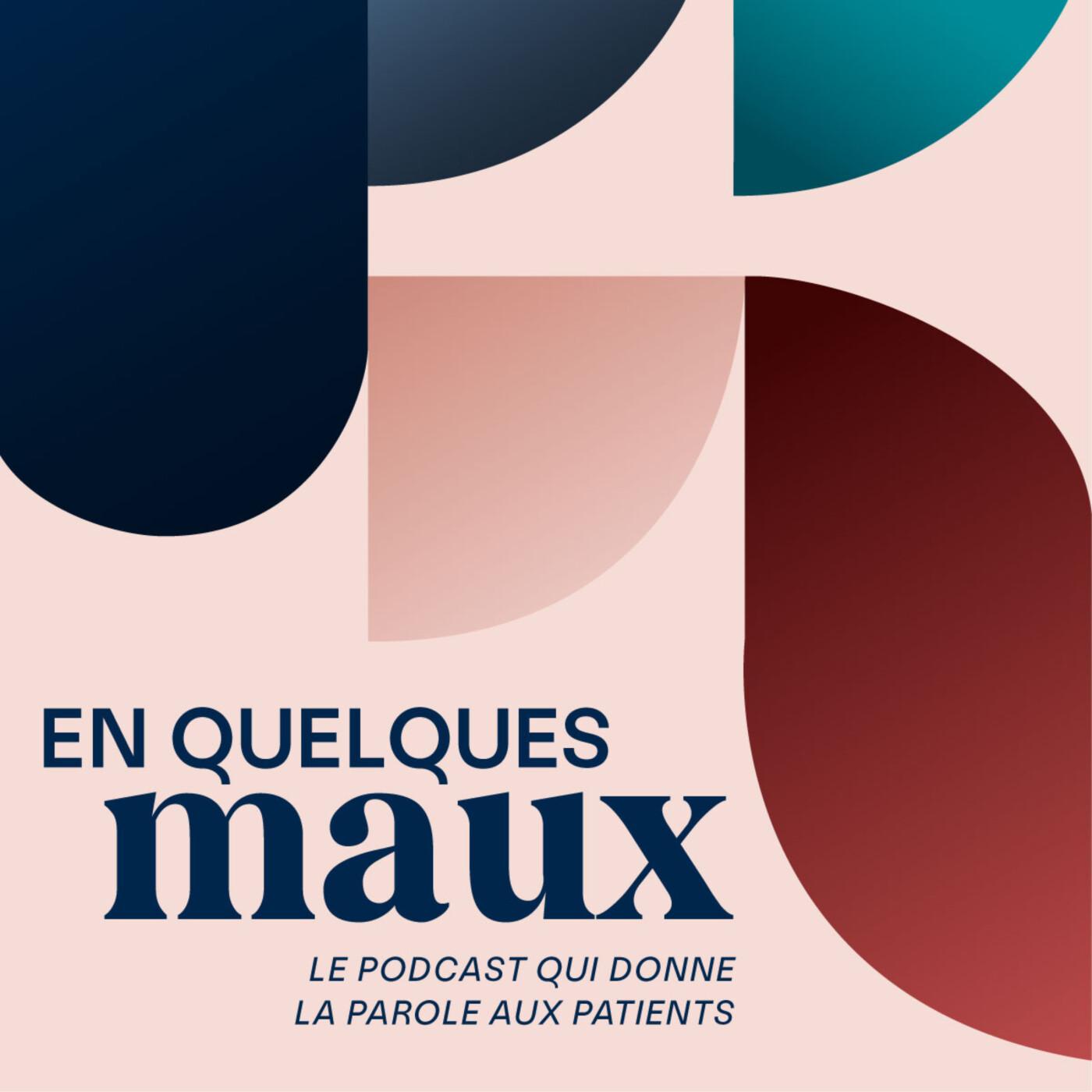 En quelques maux