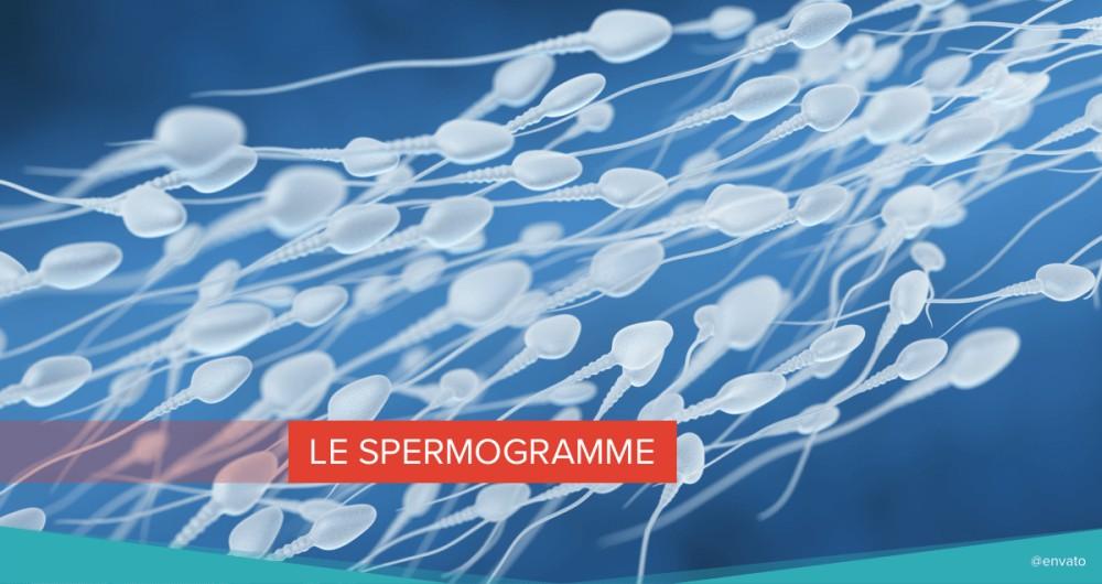 Le spermogramme