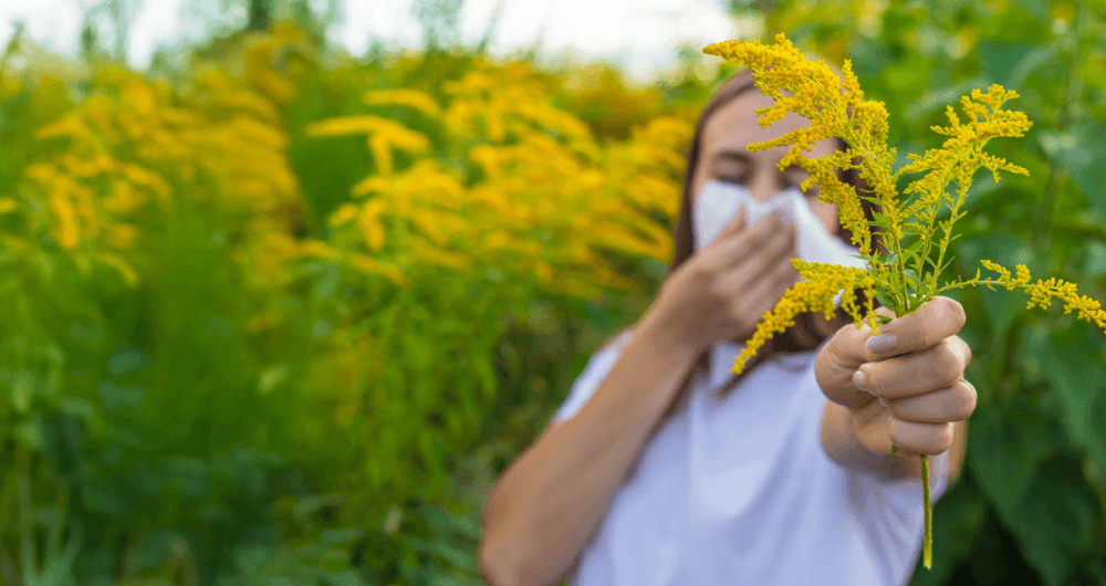 Allergie au pollen : les réactions cutanées