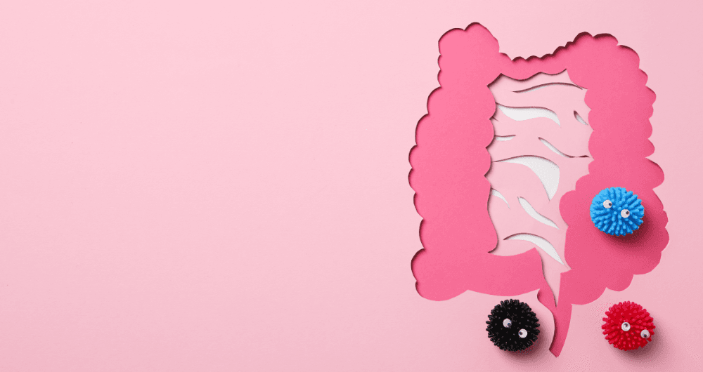 Le prolapsus du rectum, ou rectocèle, une pathologie complexe