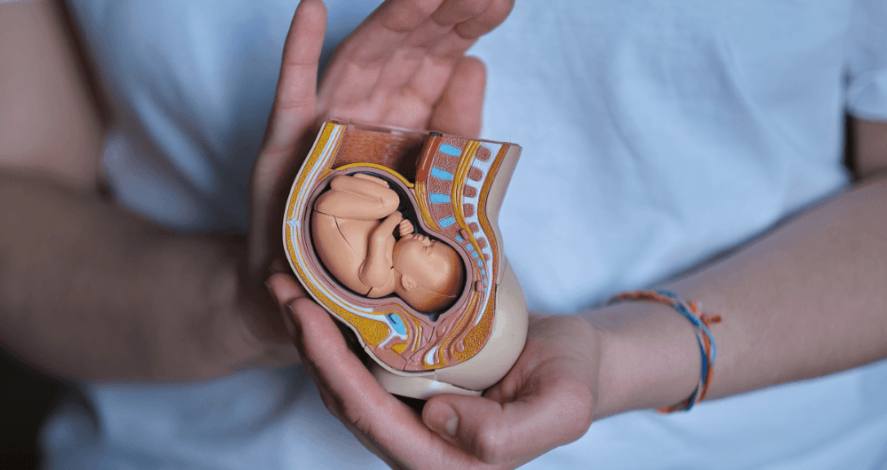 Pré-éclampsie : une complication de la grossesse à surveiller de près