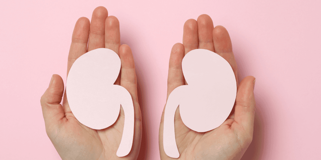 Webinaire Maladie des Reins